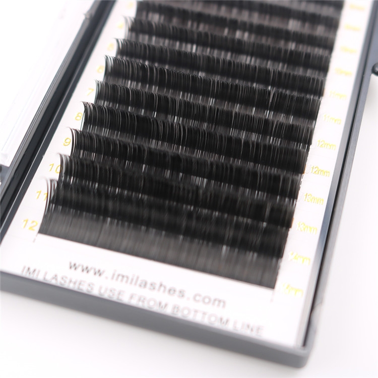 wholesale classic lashes.JPG